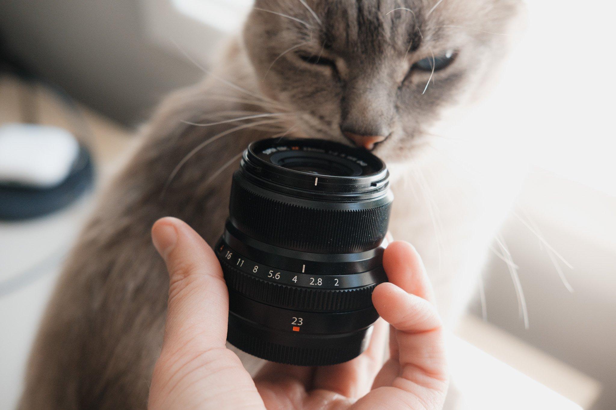 Fujifilm 23mm f2 Review
