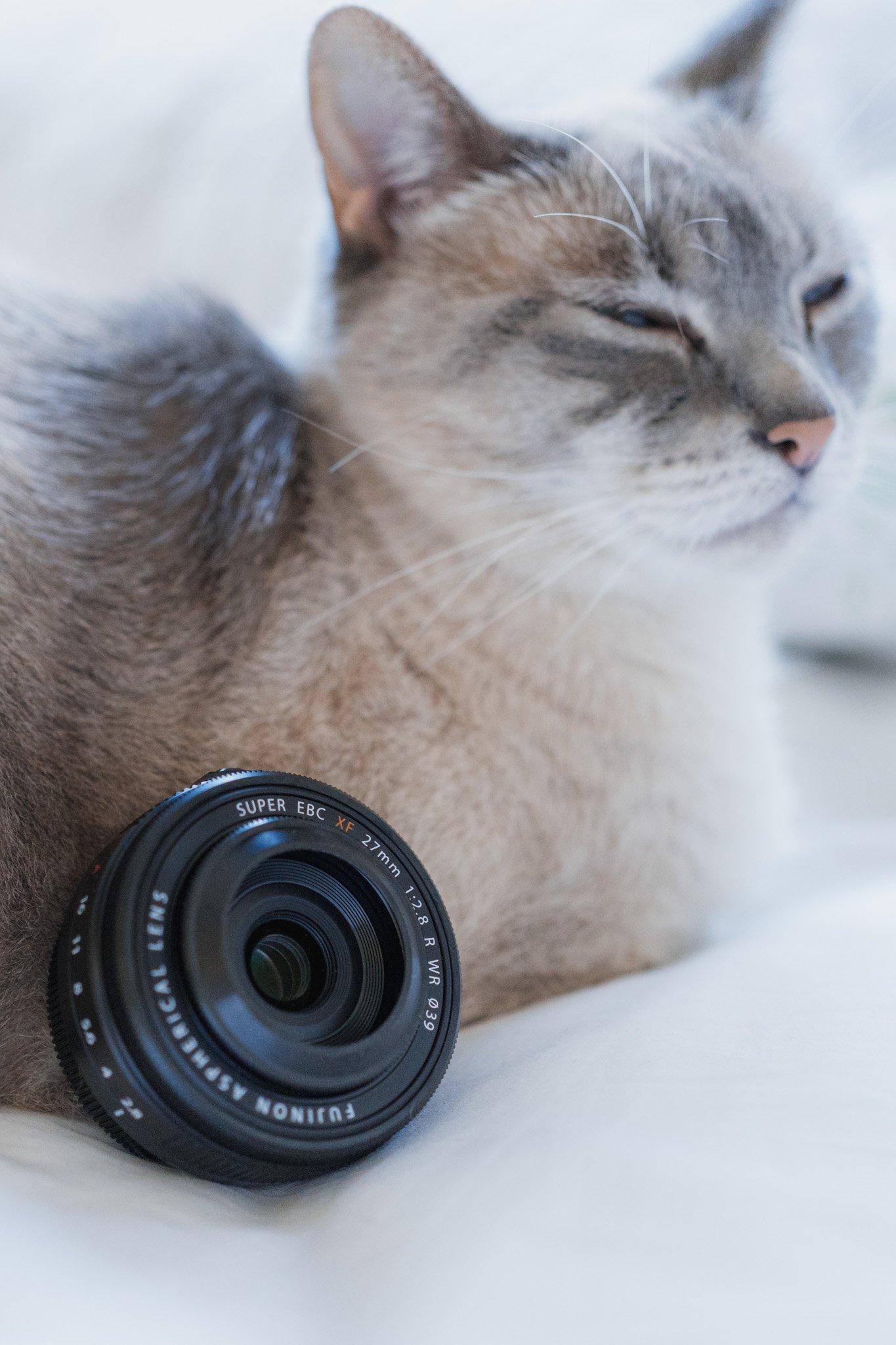 Fujifilm 27mm f2.8 WR Review: Tiny But Mighty