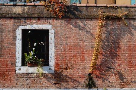 Italy photograph 37