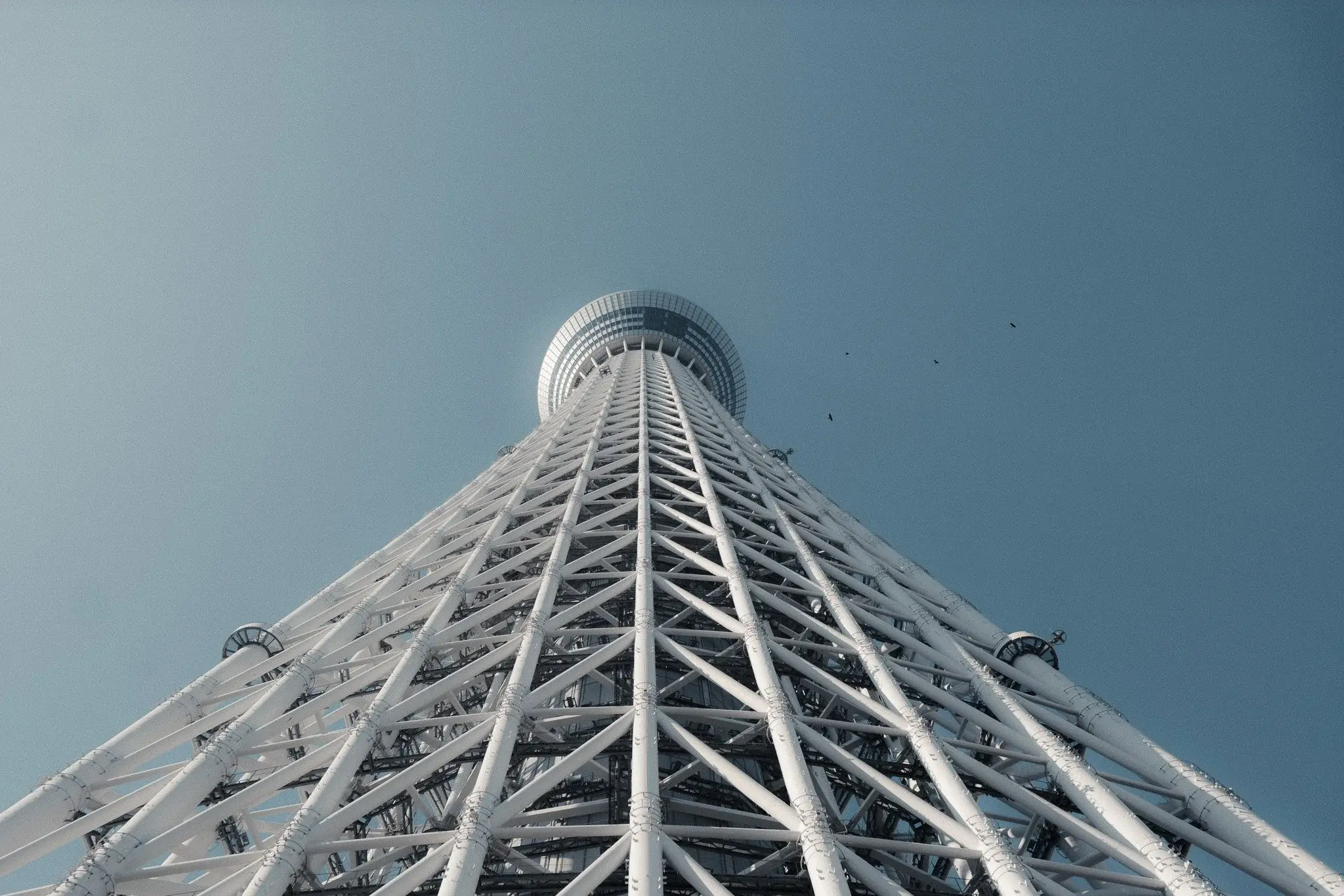 Japan photograph 11