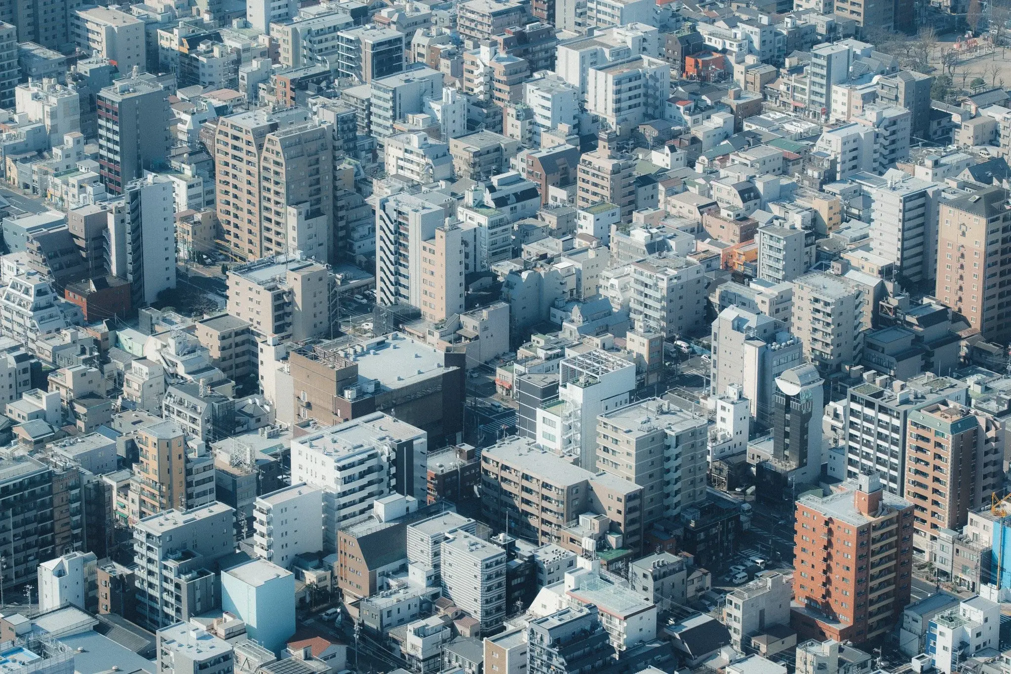 Japan photograph 12