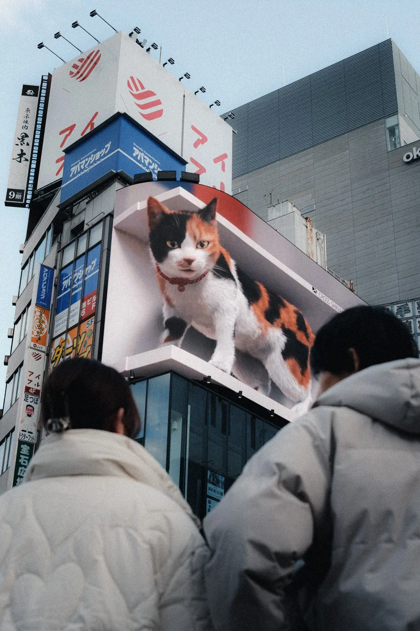 Japan photograph 15