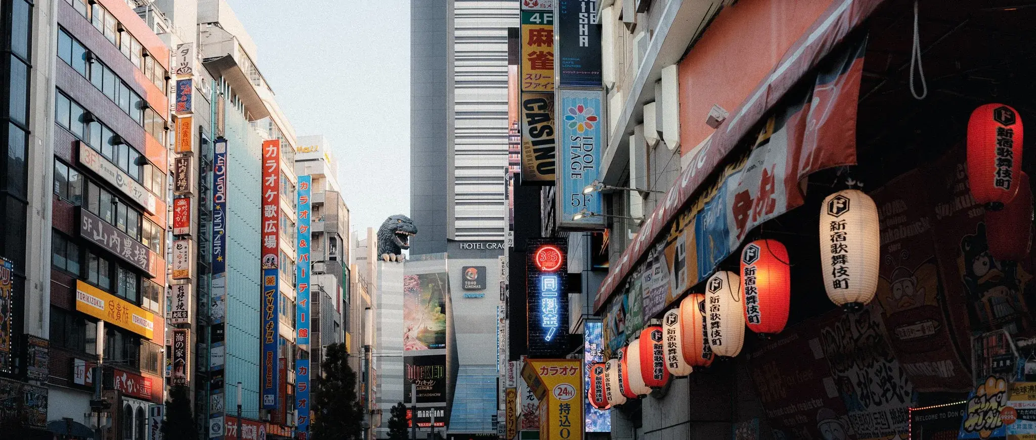 Japan photograph 16