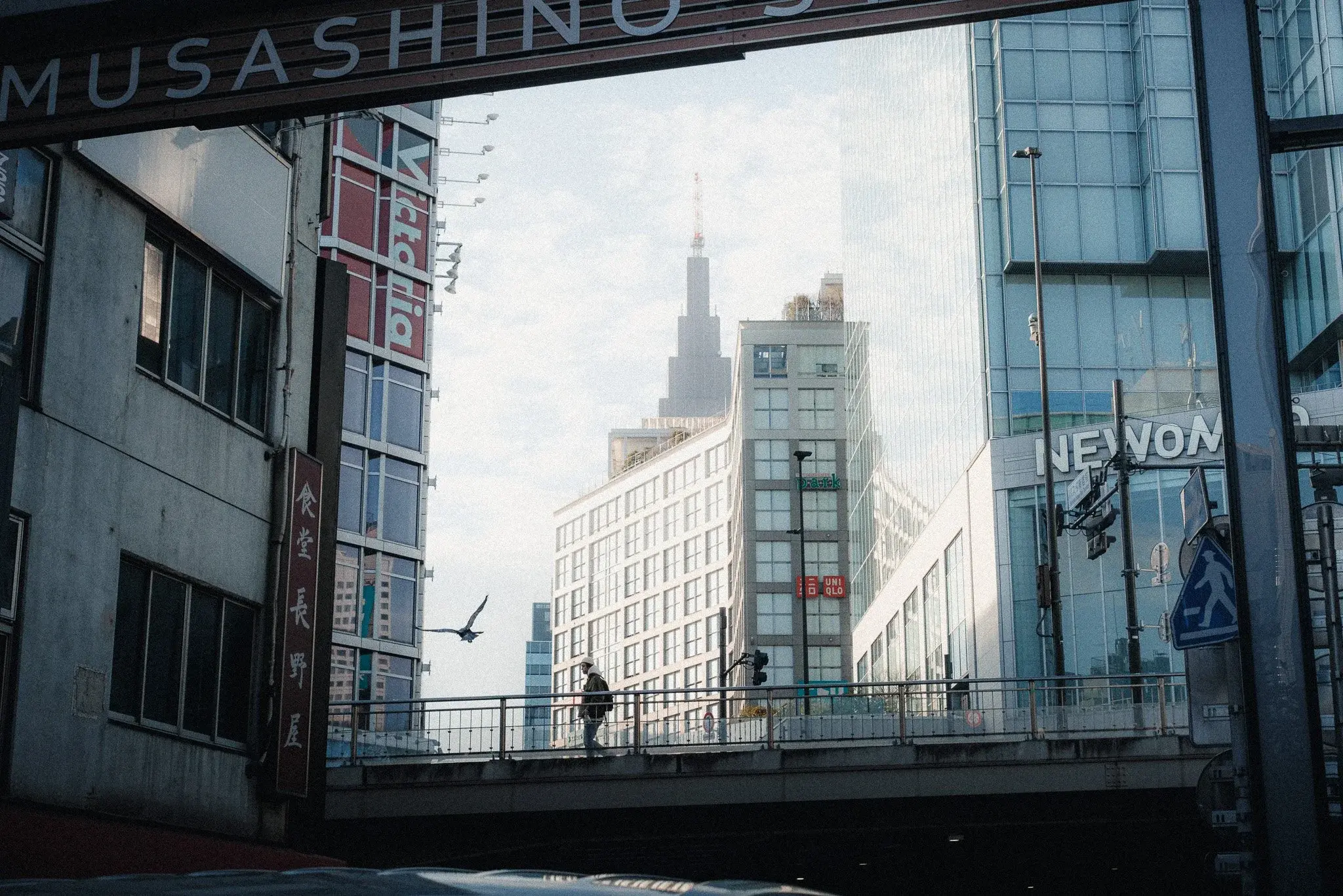 Japan photograph 19