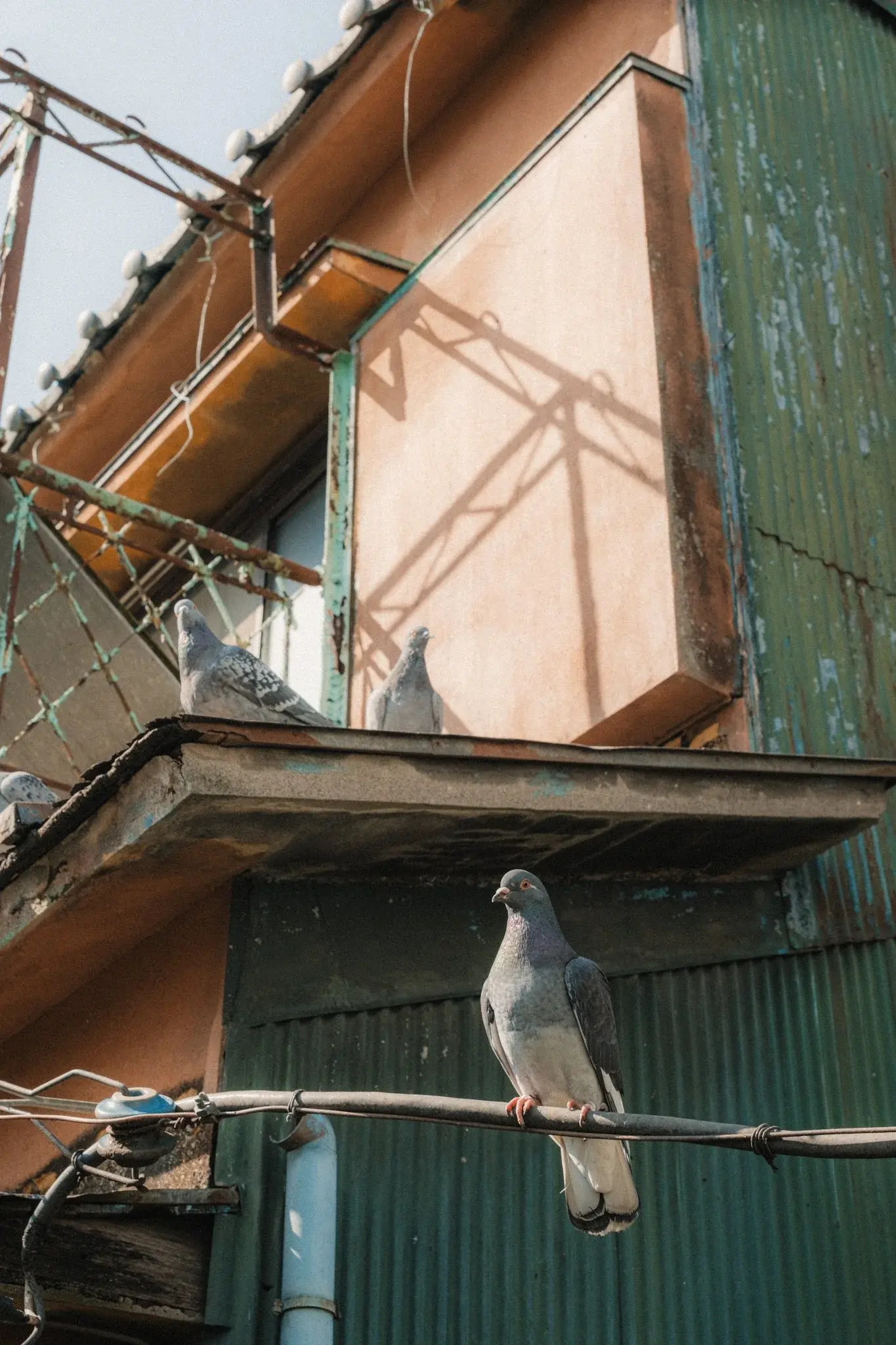 Japan photograph 37