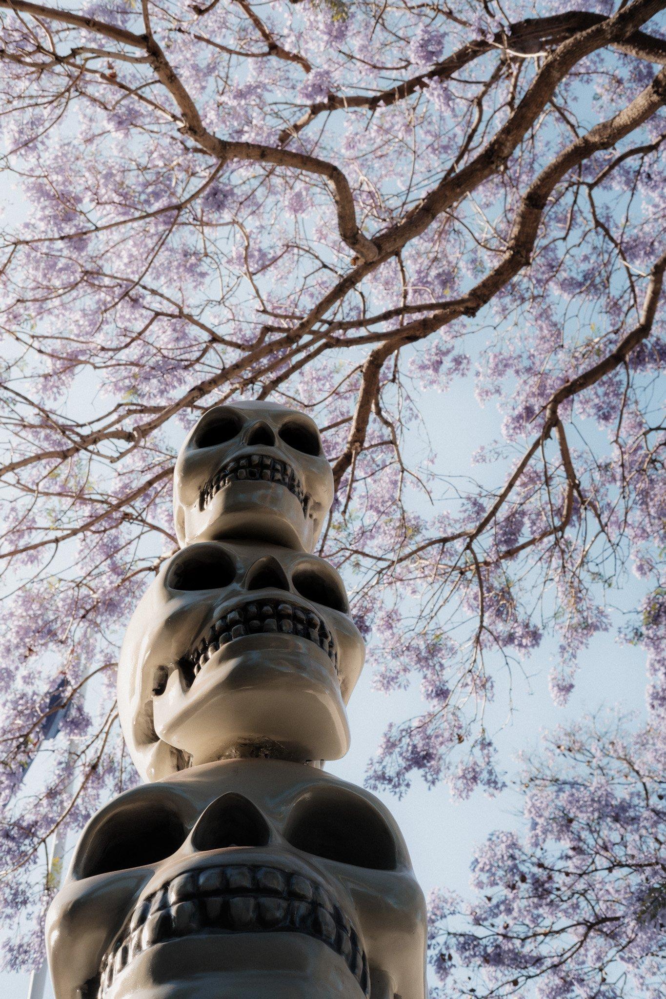 Sydney photograph 33