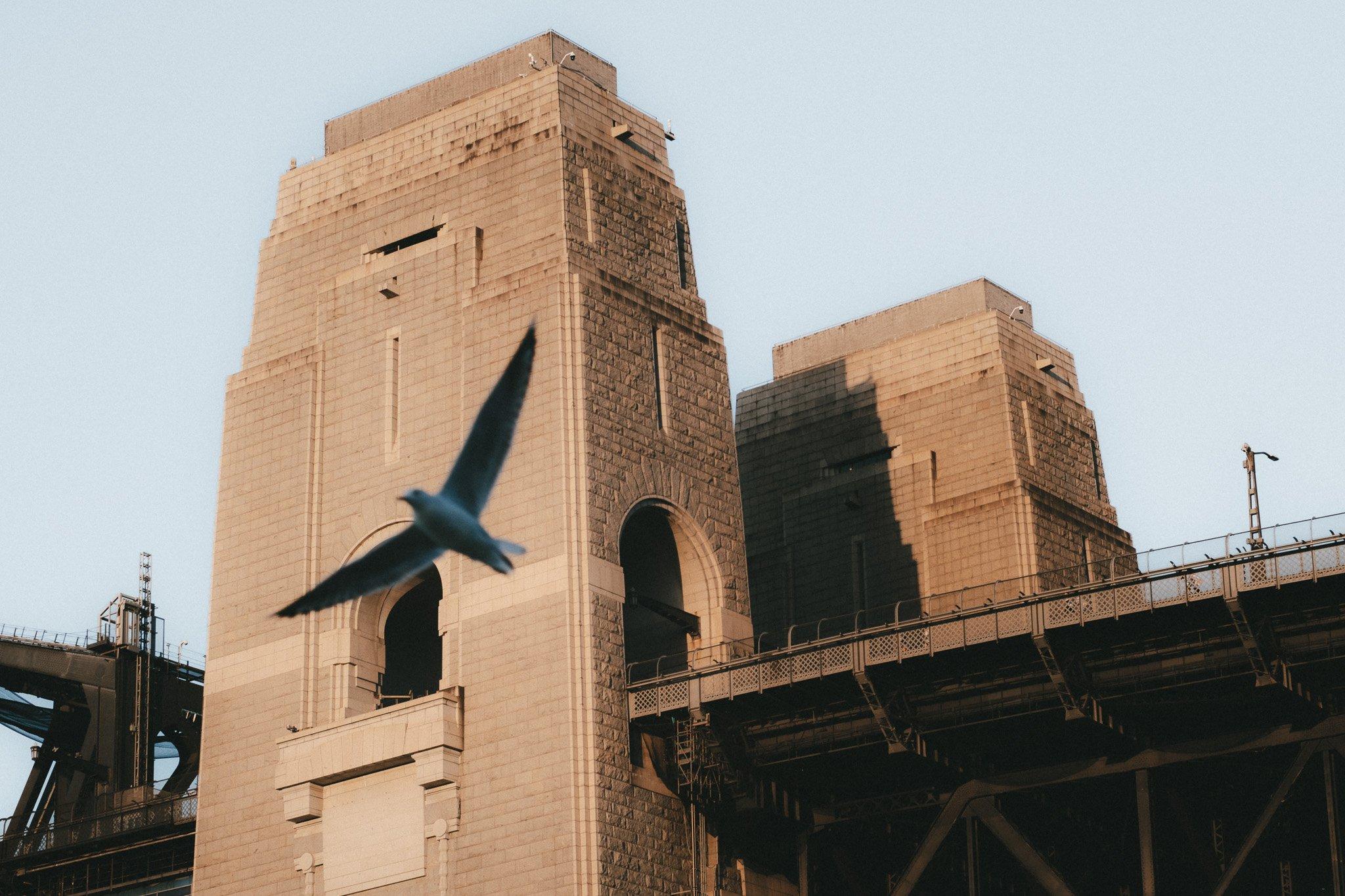 Sydney photograph 53