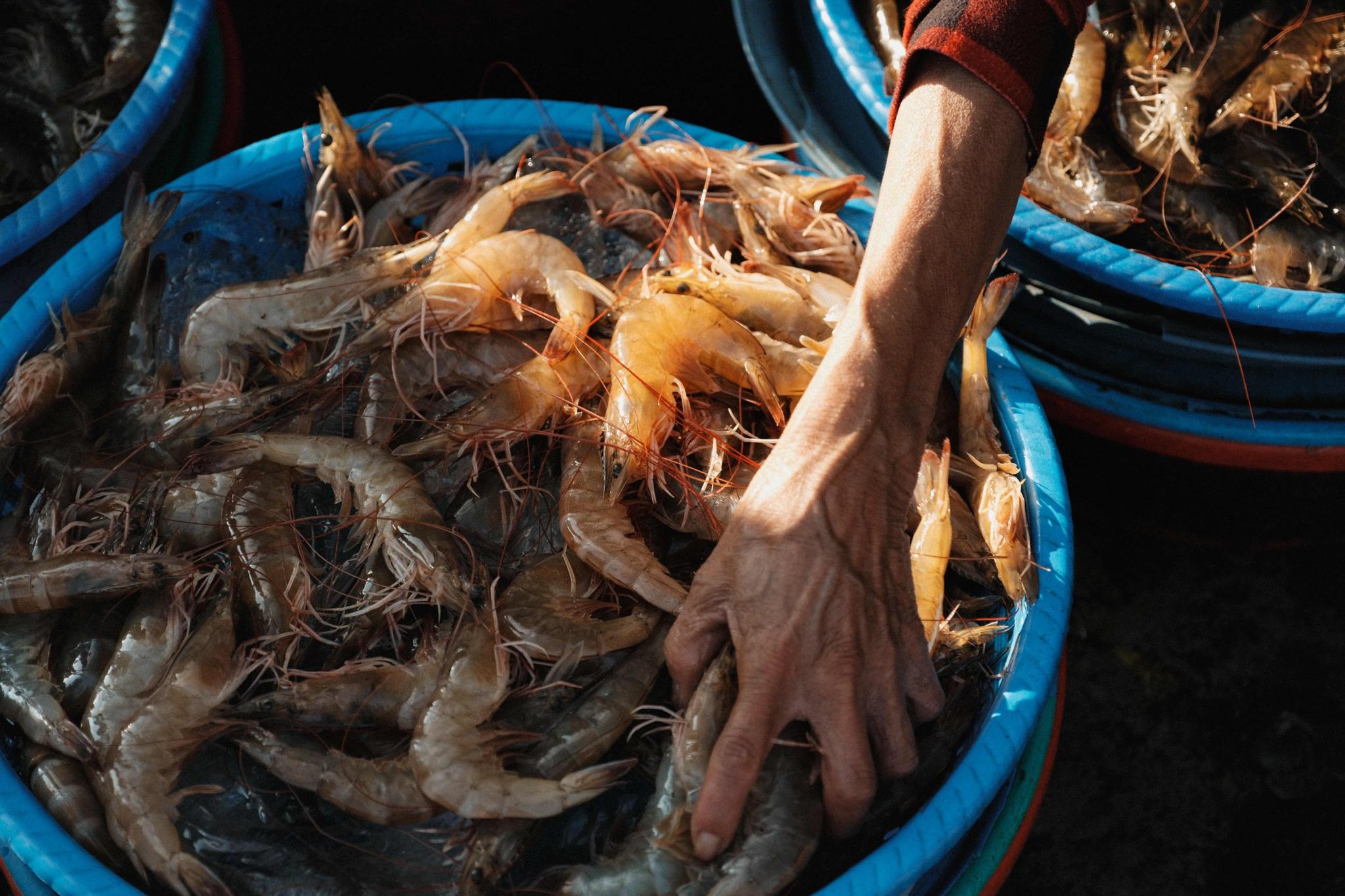 Vietnam photograph 2