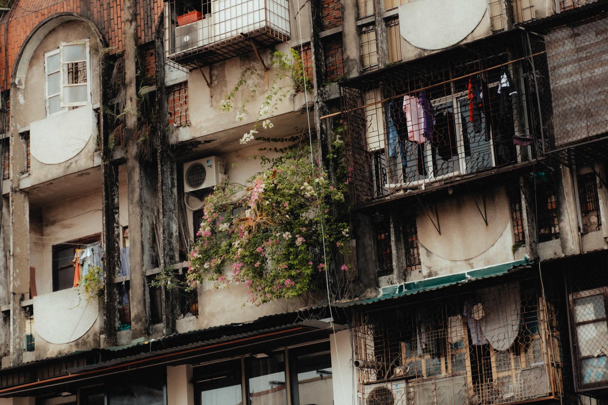 Vietnam photograph 13